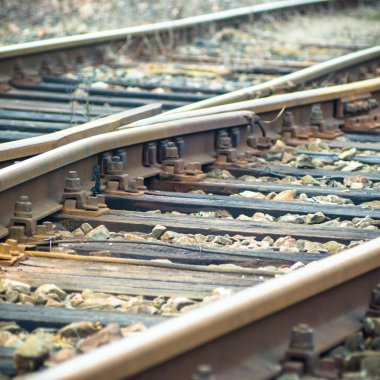 görüntü endüstriyel serisi