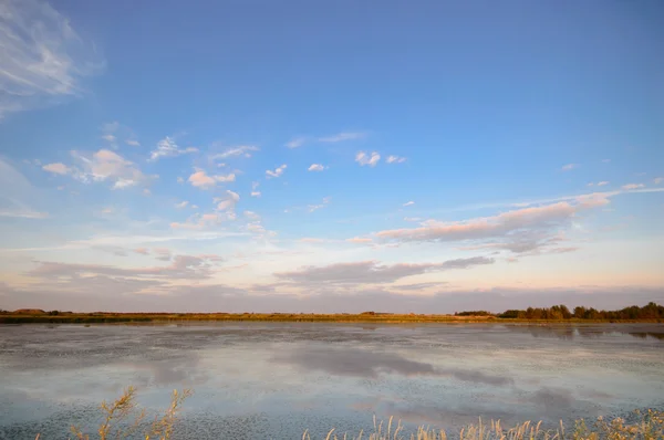 Obraz z serii natura — Zdjęcie stockowe