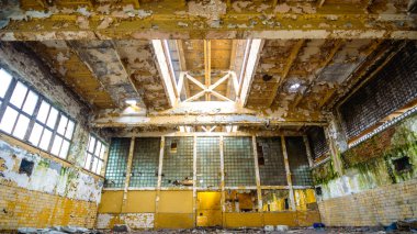 görüntü endüstriyel serisi