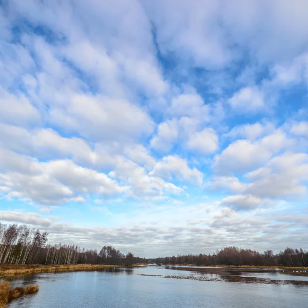 Obrázek ze série nature — Stock fotografie