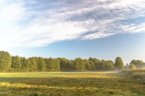 Imag aus nature series — Stockfoto