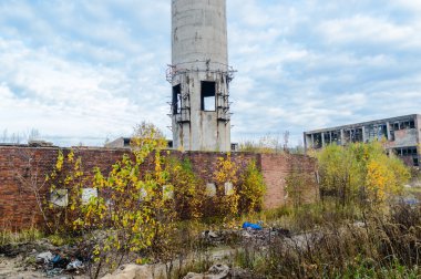 görüntü endüstriyel serisi