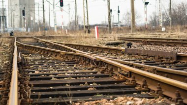 görüntü endüstriyel serisi