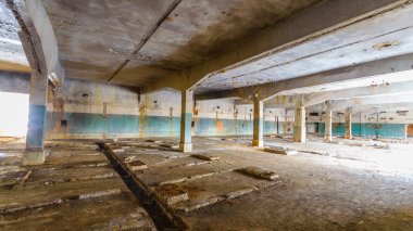 görüntü doğa serisi