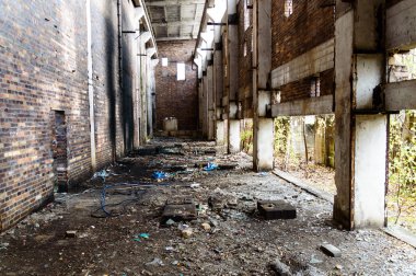 görüntü endüstriyel serisi