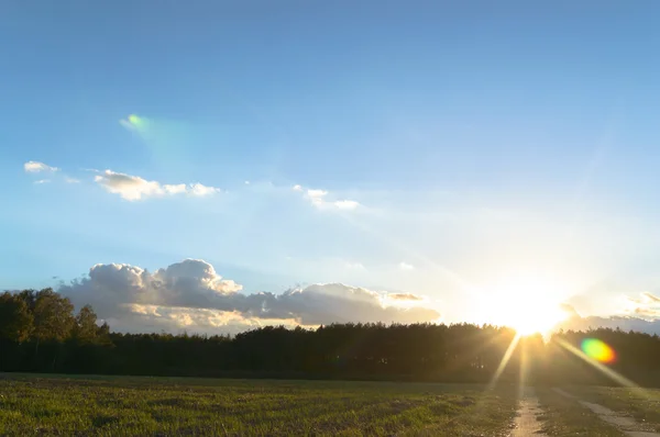 Immagine dalla serie natura — Foto Stock