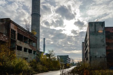 görüntü endüstriyel serisi