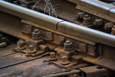 görüntü endüstriyel serisi