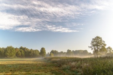 doğa serisi görüntüleri