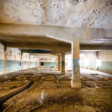 görüntü endüstriyel serisi