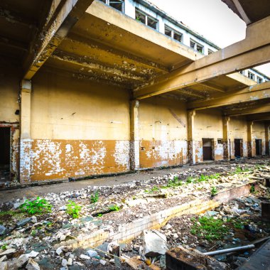 görüntü endüstriyel serisi