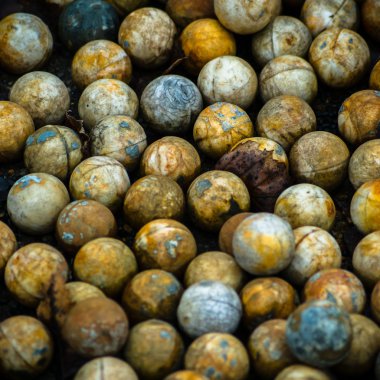 görüntü endüstriyel serisi