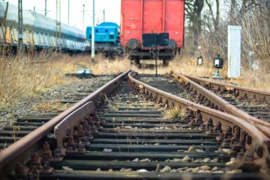 görüntü endüstriyel serisi