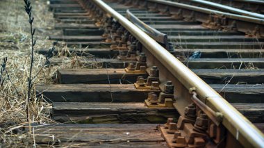 görüntü endüstriyel serisi