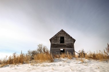 görüntü doğa serisi