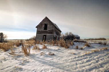 görüntü doğa serisi