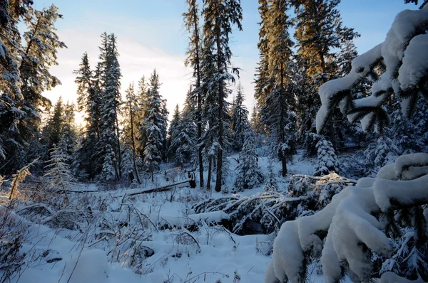 görüntü doğa serisi