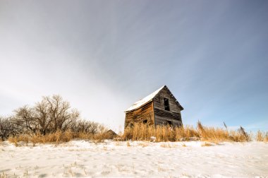 görüntü doğa serisi