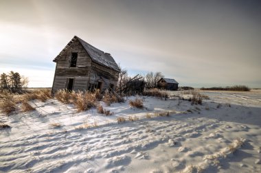 görüntü doğa serisi