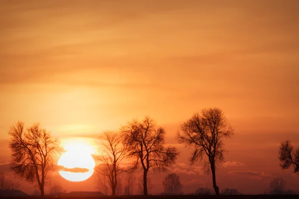 Bild från naturen-serien — Stockfoto