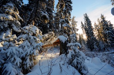 görüntü doğa serisi