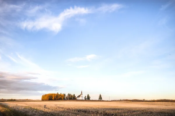 Image from nature series — Stock Photo, Image