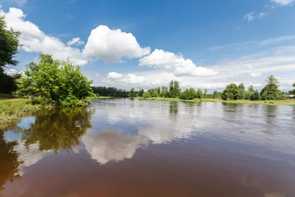 Beeld uit natuur-serie — Stockfoto