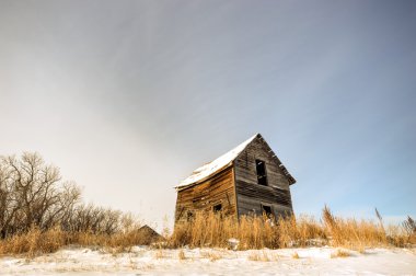 görüntü doğa serisi