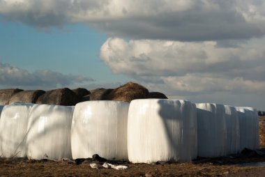 görüntü doğa serisi