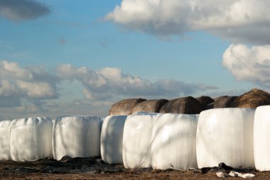 görüntü doğa serisi