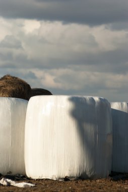 görüntü doğa serisi