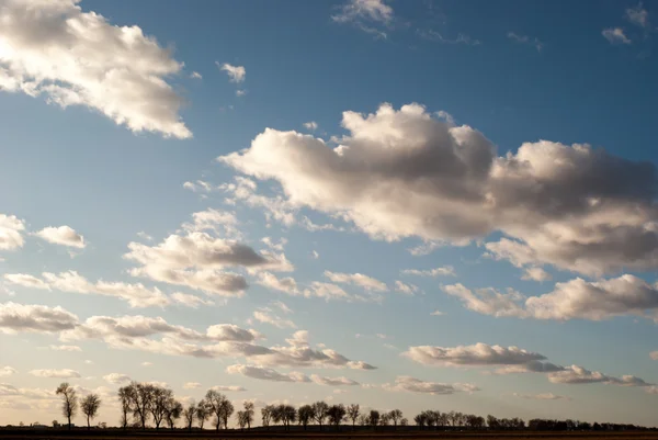 Obrázek ze série nature — Stock fotografie