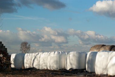 görüntü doğa serisi