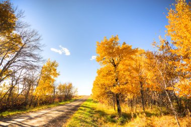 görüntü doğa serisi
