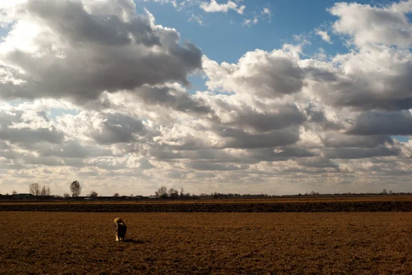 Image from nature series — Stock Photo, Image