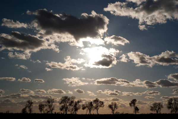 Immagine dalla serie natura — Foto Stock