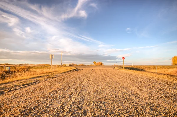 Image from nature series — Stock Photo, Image