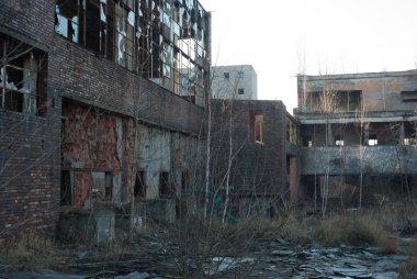 görüntü endüstriyel serisi