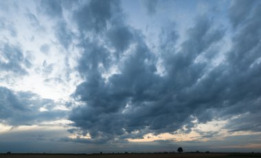 doğa serisi görüntüleri
