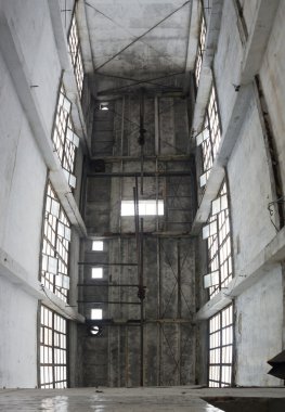 görüntü endüstriyel serisi