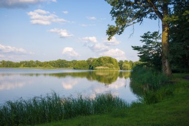 doğa serisi görüntüleri