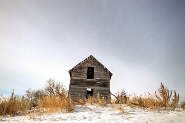 doğa serisi görüntüleri