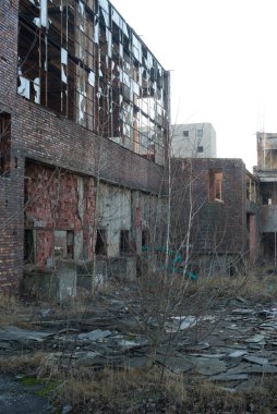 görüntü endüstriyel serisi