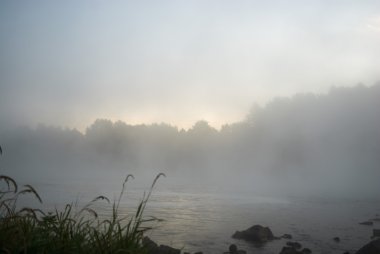 görüntü doğa serisi