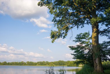 görüntü doğa serisi