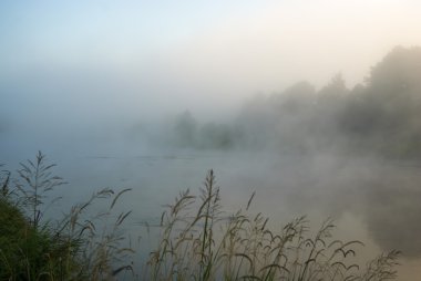 görüntü doğa serisi