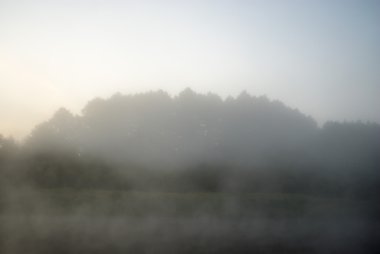 görüntü doğa serisi