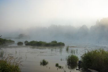 görüntü doğa serisi
