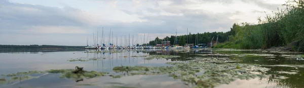 Obrázek ze série nature — Stock fotografie