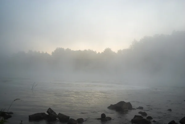 Obrázek ze série nature — Stock fotografie